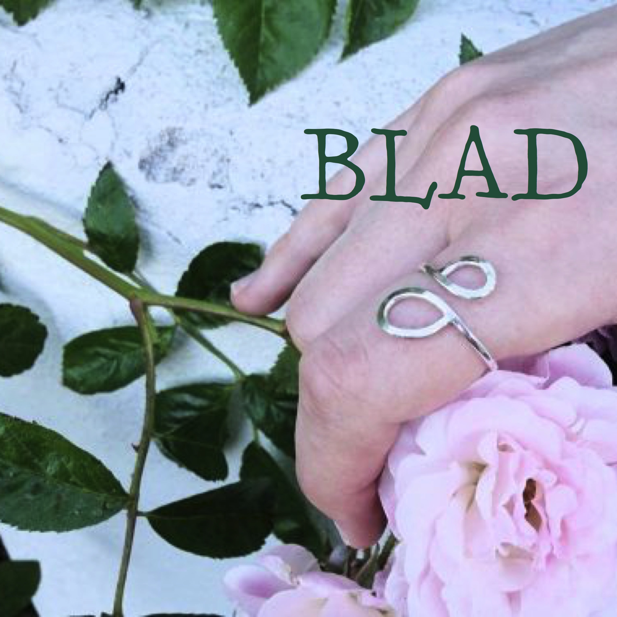 blad_koll
